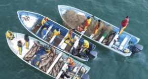 Pescadores furtivos en el Alto Golfo de California. Foto: AP