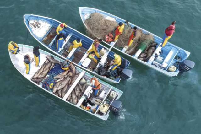 Pescadores furtivos en el Alto Golfo de California. Foto: AP